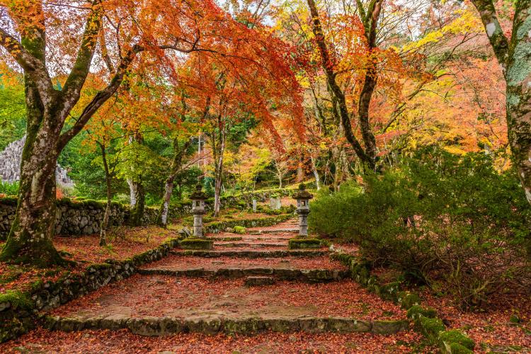 高源寺