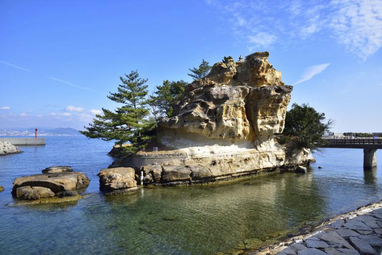 絵島 ドライブコンサルタント