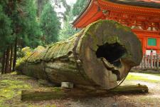 名草神社