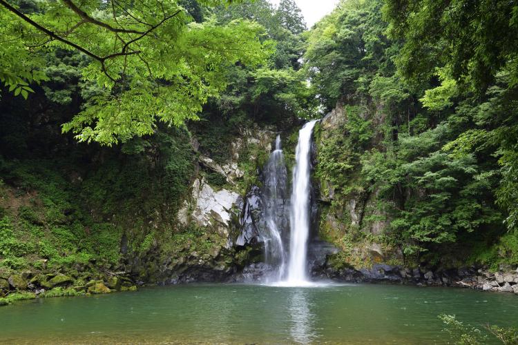 八反の滝 ドライブコンサルタント 八反の滝 ドライブコンサルタント