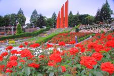 荒牧バラ公園