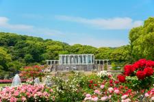 須磨離宮公園