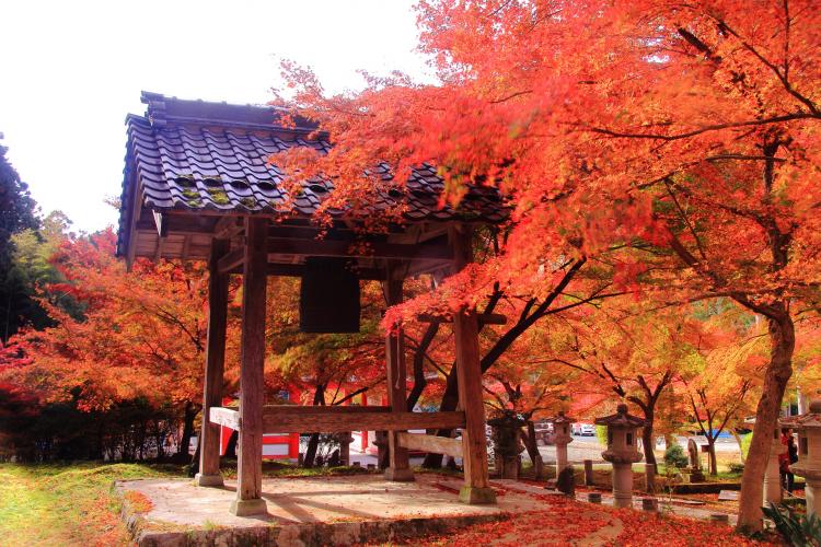 高山寺 ドライブコンサルタント