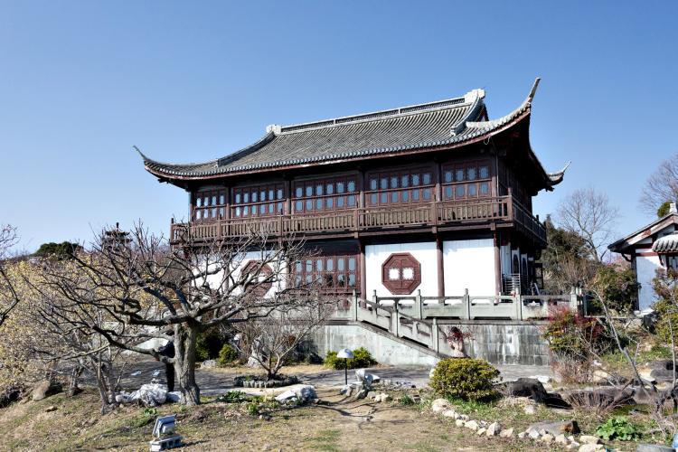 御津自然観察公園（世界の梅公園）