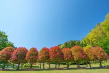 室生山上公園 芸術の森