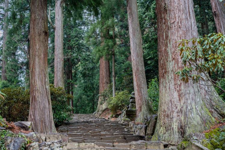 室生寺 ドライブコンサルタント