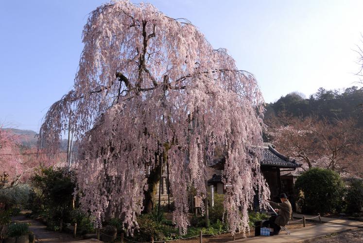 大野寺