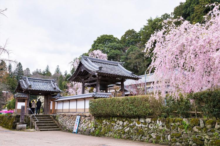 大野寺