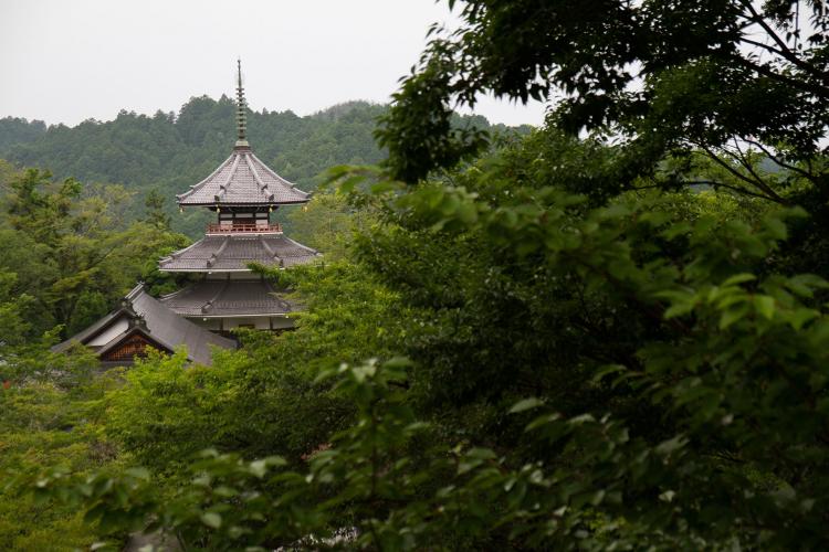 金峯山寺(吉野山/下千本エリア)