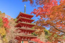 長谷寺