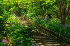 長谷寺
