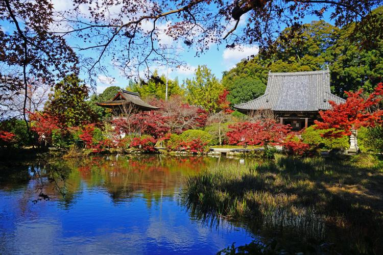 長岳寺