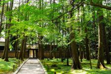 唐招提寺