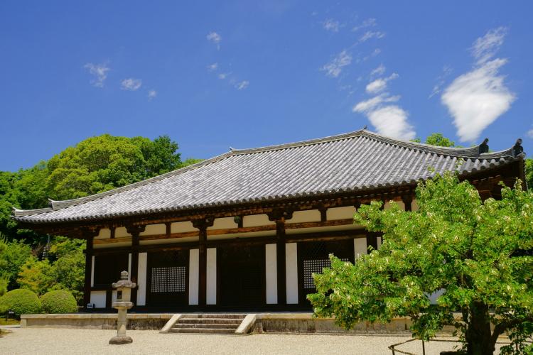 秋篠寺 ドライブコンサルタント