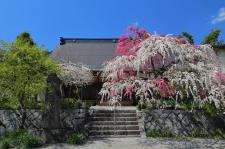 不退寺