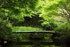 不退寺