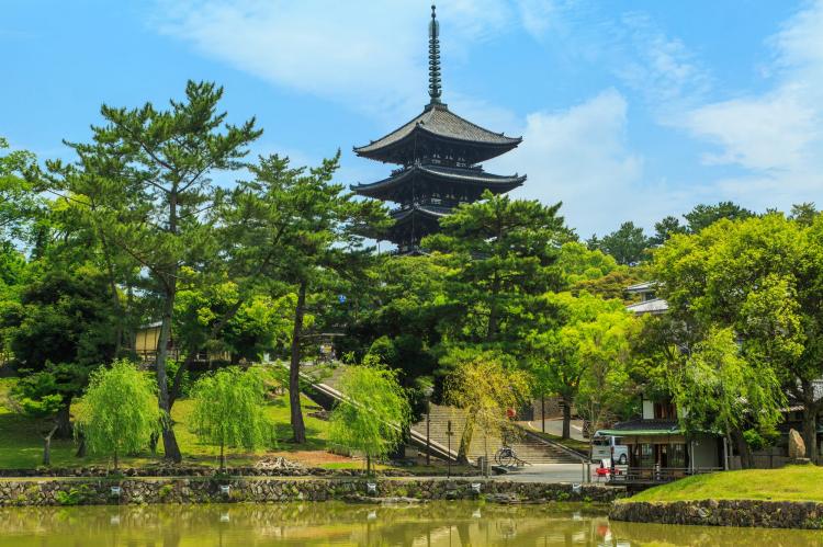 興福寺（奈良公園）