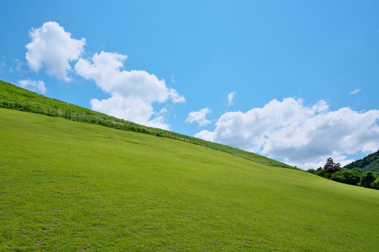 若草山(奈良公園)
