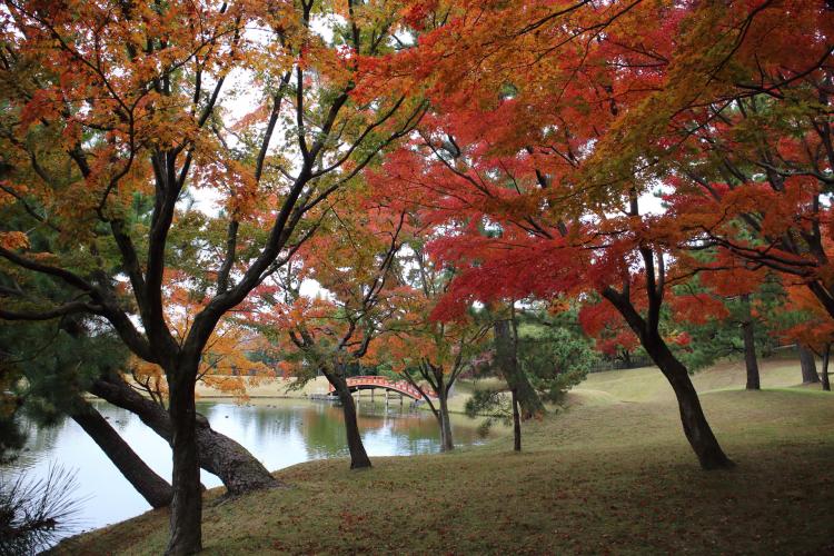 旧大乗院庭園（奈良公園）