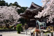 橘寺
