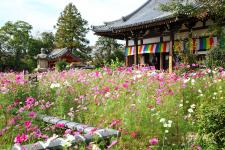 般若寺