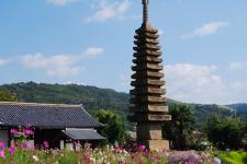 般若寺