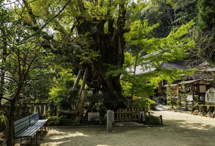 葛城一言主神社