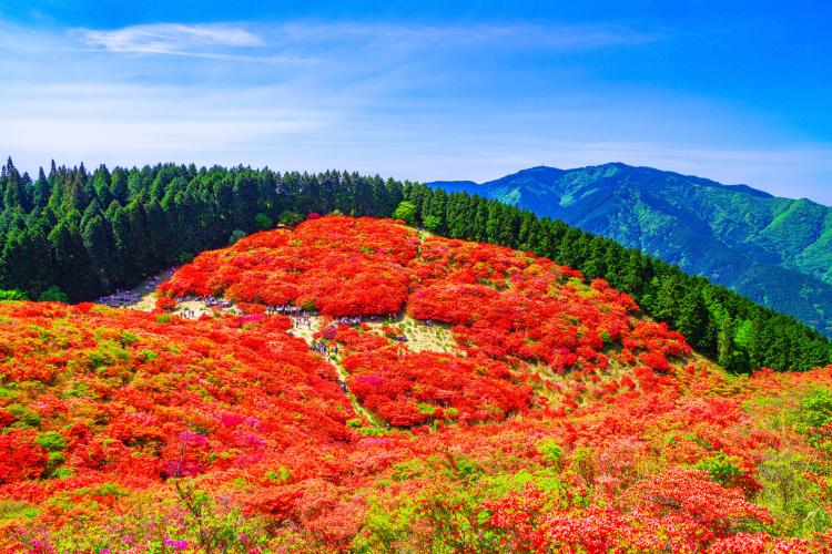 葛城山(大和葛城山)