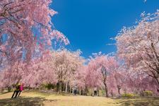 高見の郷