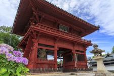 粉河寺