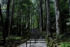 熊野那智大社