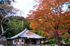 補陀洛山寺