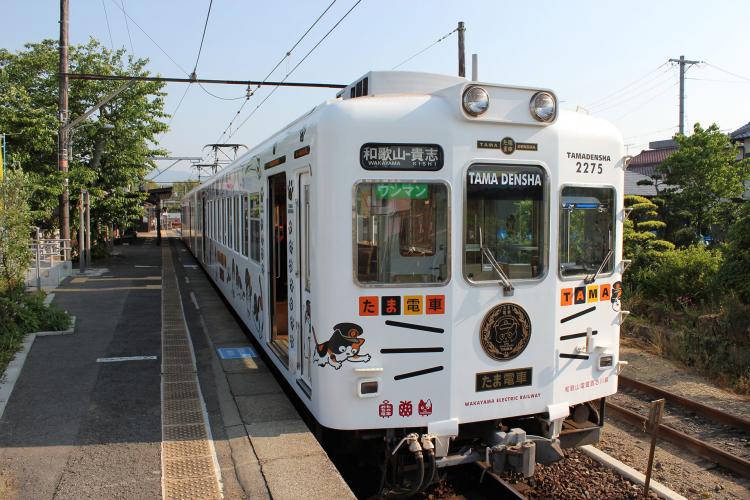 いちご電車 おもちゃ電車 たま電車 和歌山電鐵 貴志川線 ドライブコンサルタント