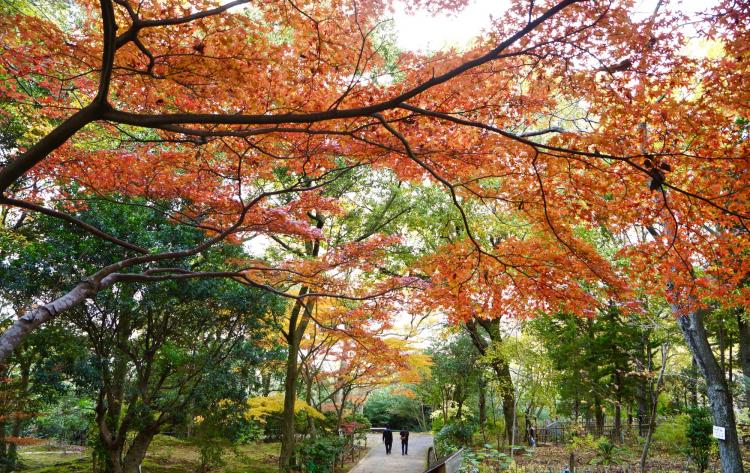 紀伊風土記の丘