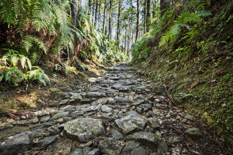 熊野古道(中辺路)