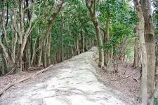 熊野古道（大辺路）