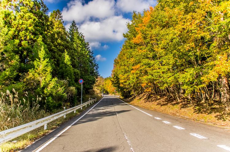 高野龍神スカイライン