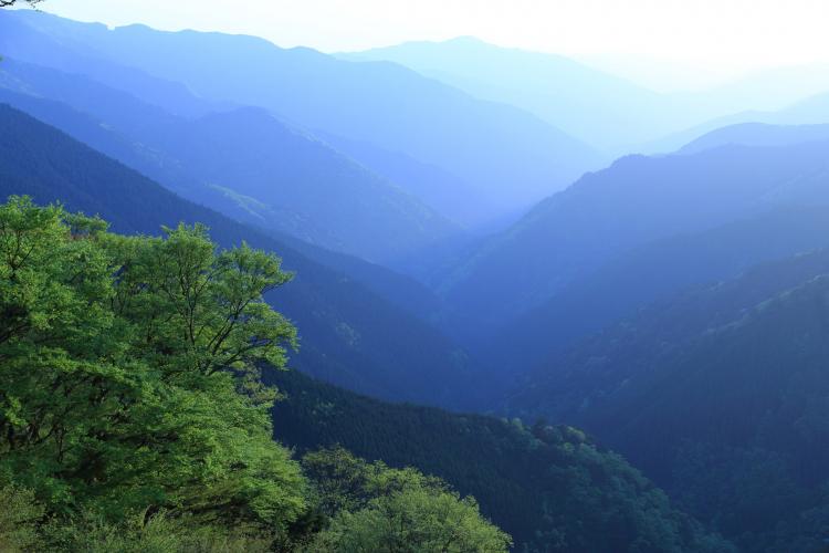 高野龍神スカイライン