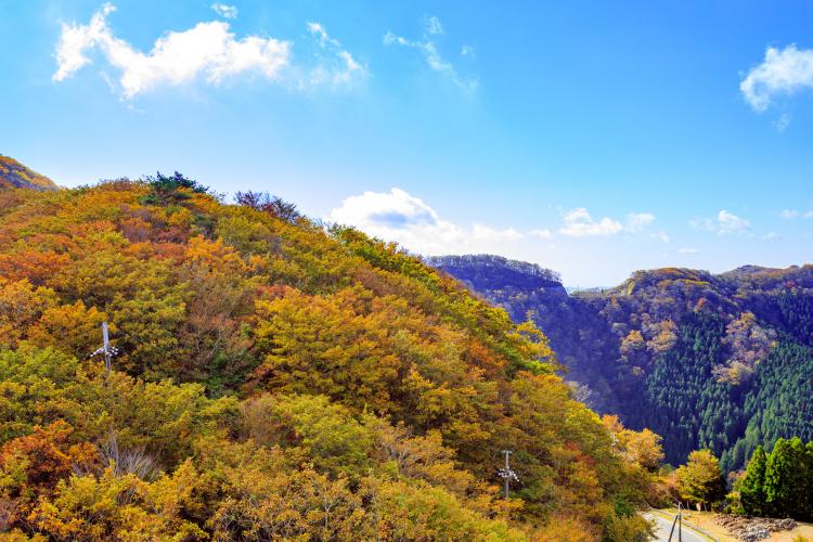 高野龍神スカイライン