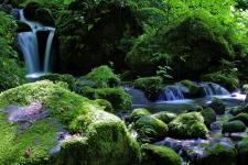 雨滝