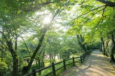 打吹公園