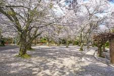 打吹公園