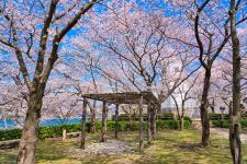 境台場公園
