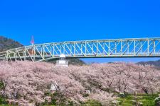 境台場公園