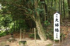 八重垣神社