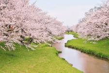玉湯川堤