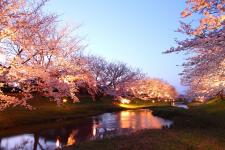 玉湯川堤