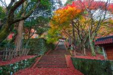 鰐淵寺