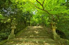 鰐淵寺