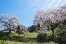 月山富田城
